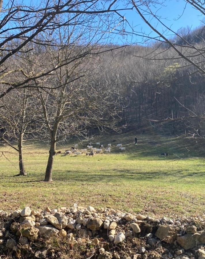 Soko Holiday Home Bihać Esterno foto