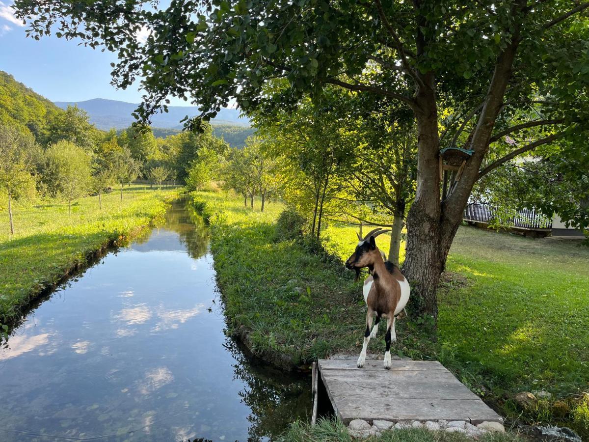 Soko Holiday Home Bihać Esterno foto